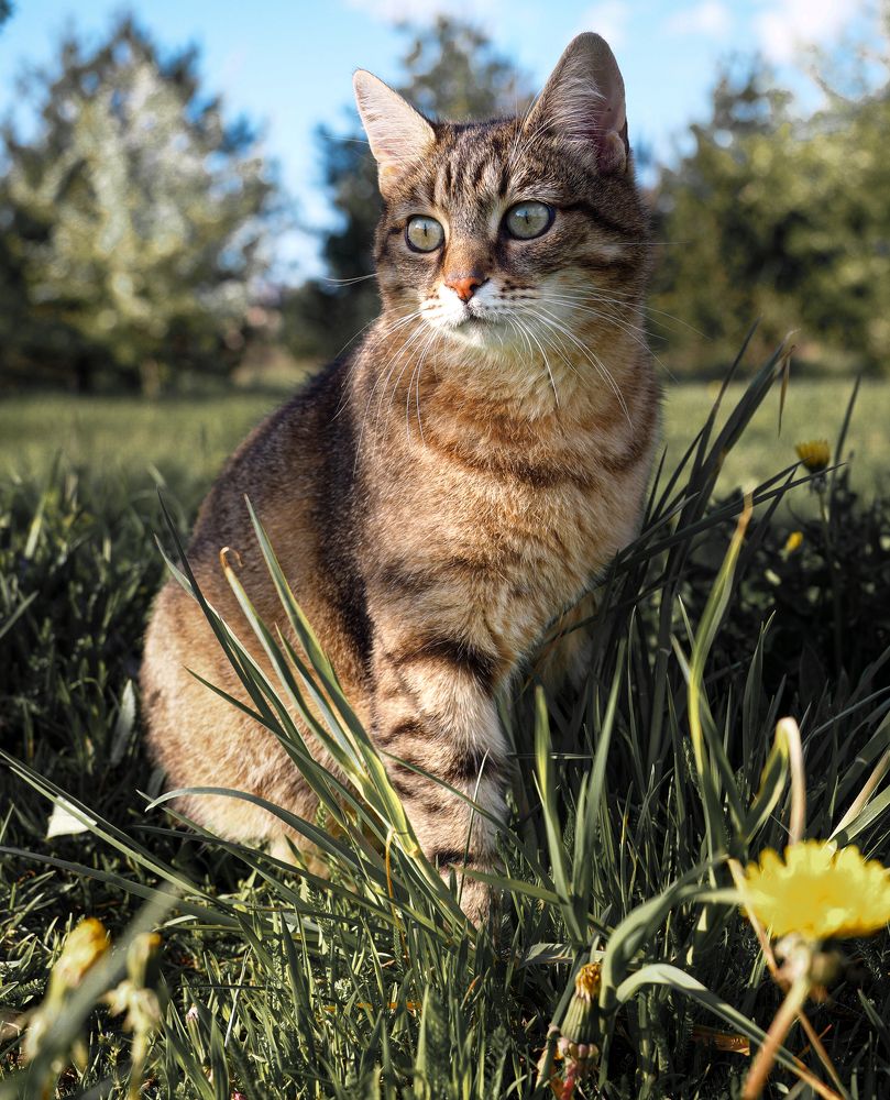 Photograph by Ольга Еженевская