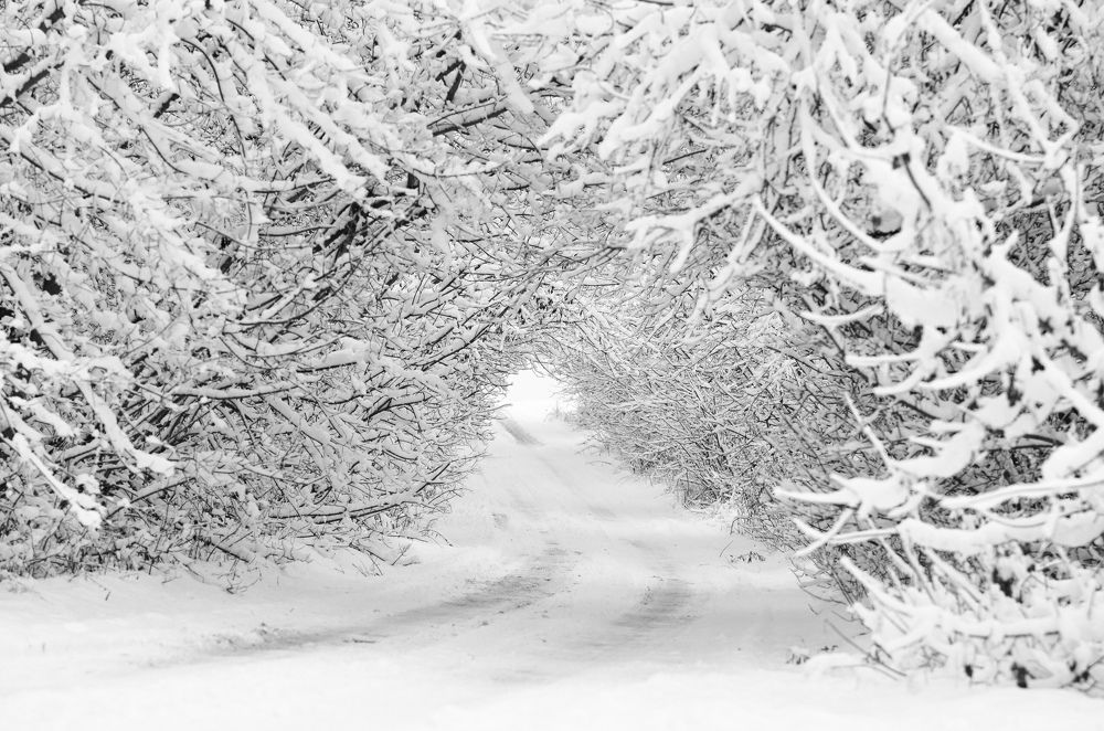 Photograph by Виктория Потапова