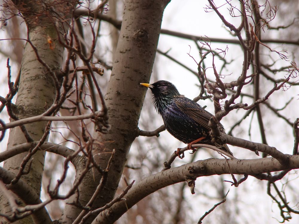 Photograph by Галина Король