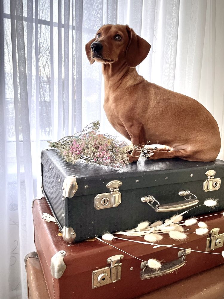 Photograph by Маргарита Кононова