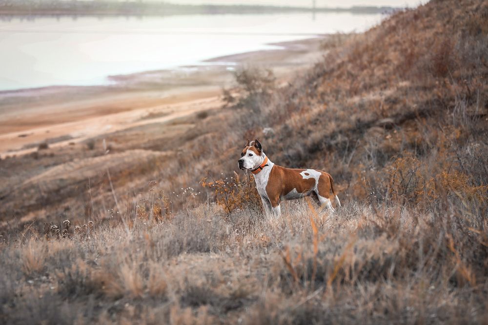 Photograph by Галина Ледок