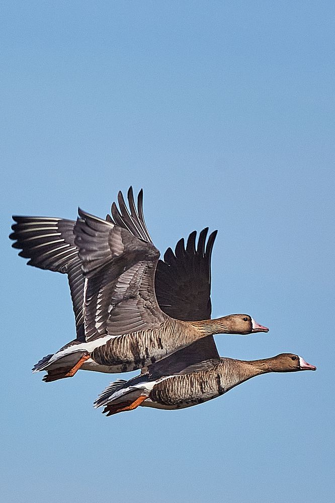 Photograph by валерий куропаткин