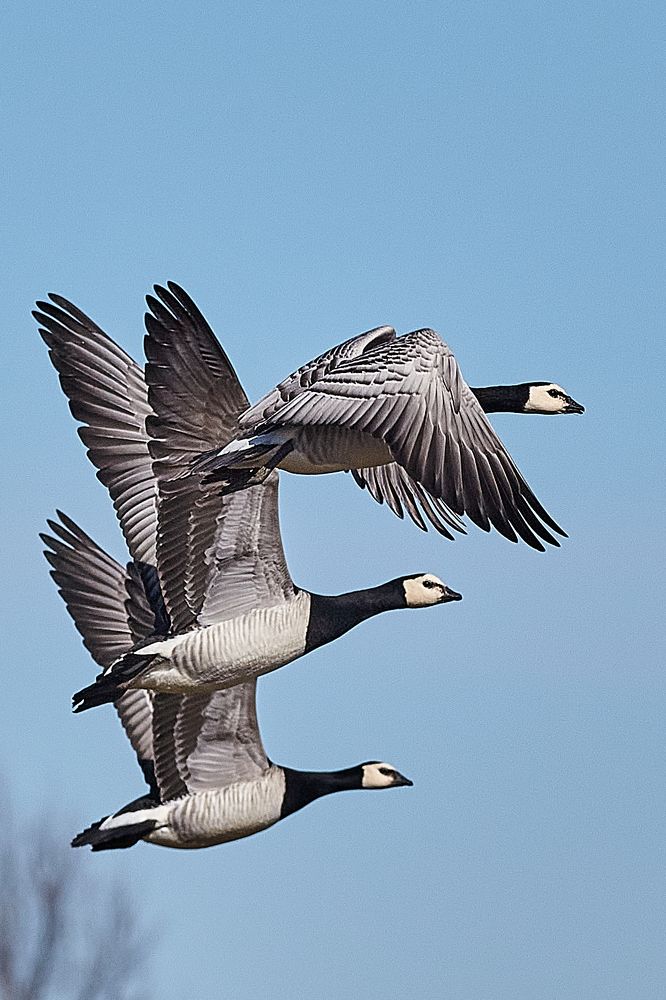 Photograph by валерий куропаткин
