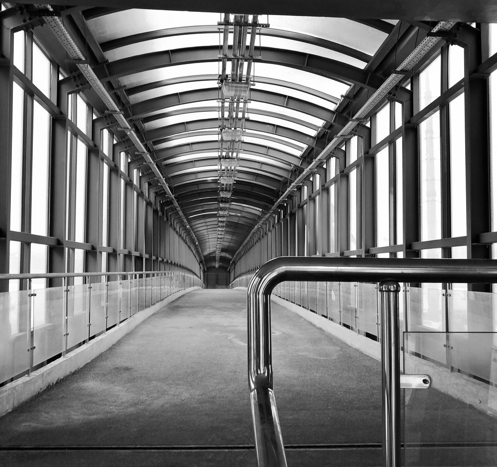 Photograph by Дмитрий Одинцов