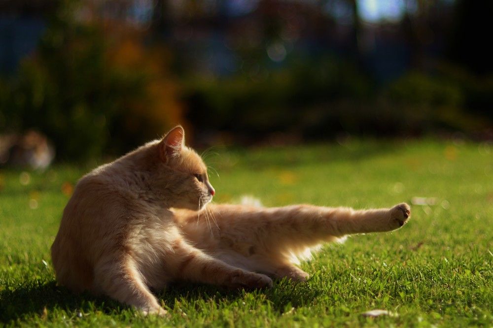 Photograph by Ксения