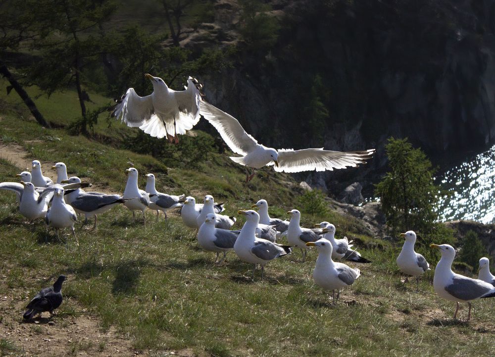 Photograph by Маргарита