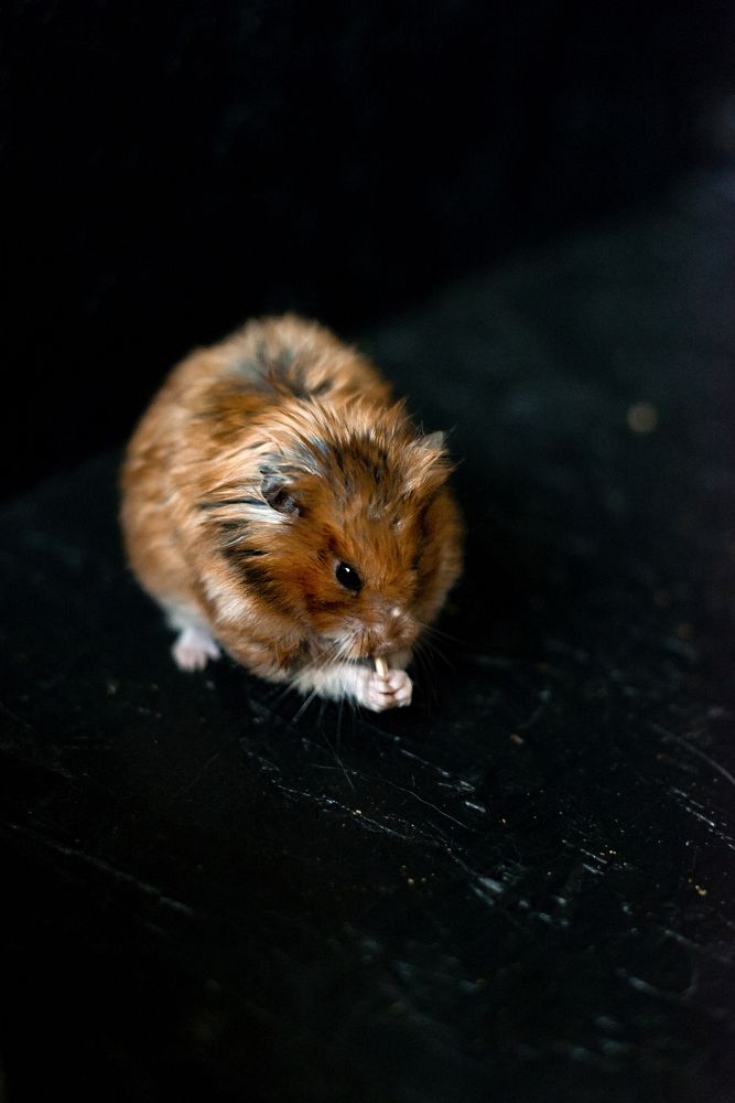 Photograph by Юлия Вершинина