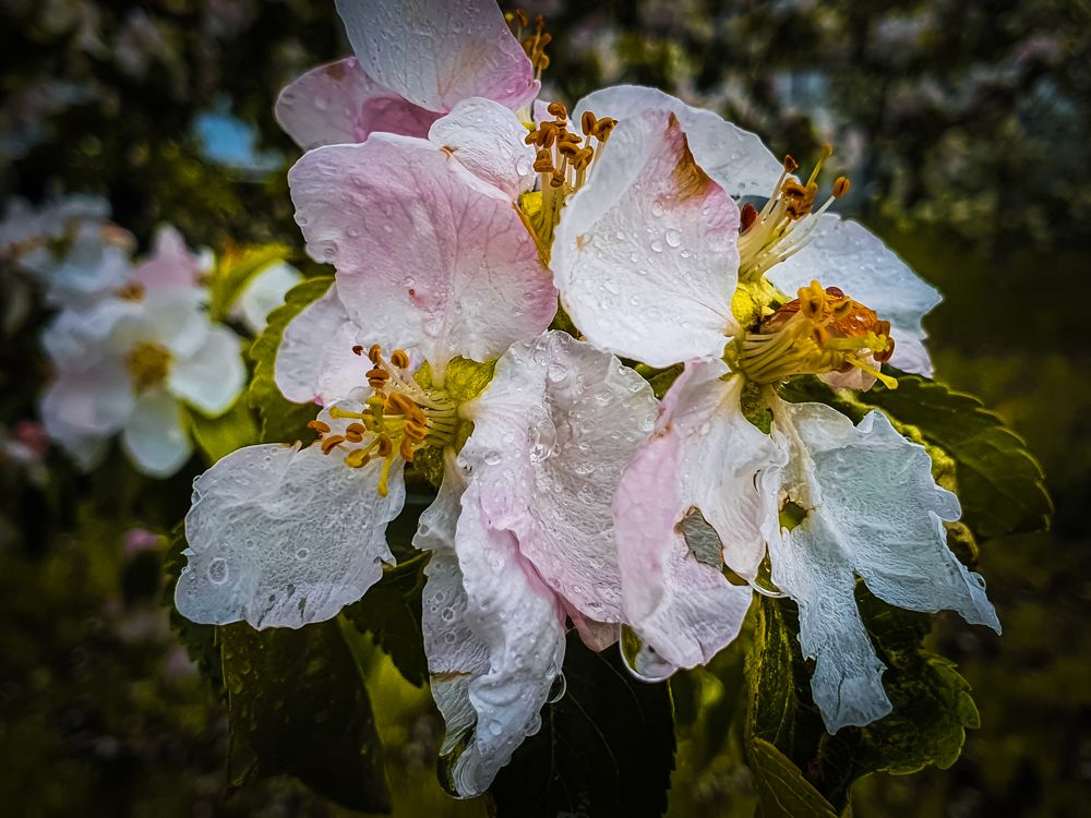 Photograph by mikhail goryachev