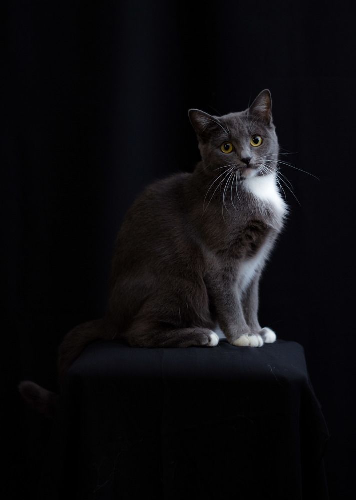 Photograph by Тамара Аржанова