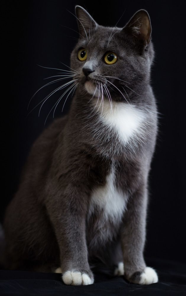 Photograph by Тамара Аржанова