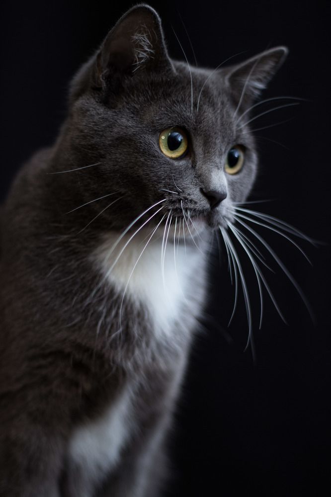 Photograph by Тамара Аржанова