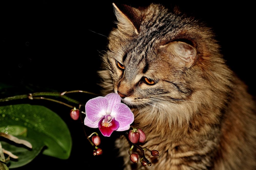 Photograph by Анна Восковых