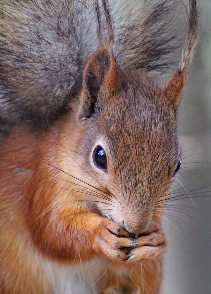 Photograph by Николай Николаевич Леухин