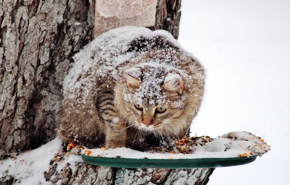 Photograph by Анна Восковых