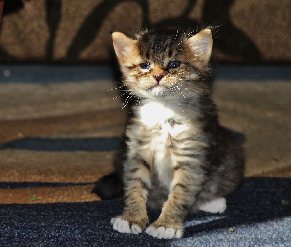 Photograph by Анна Восковых