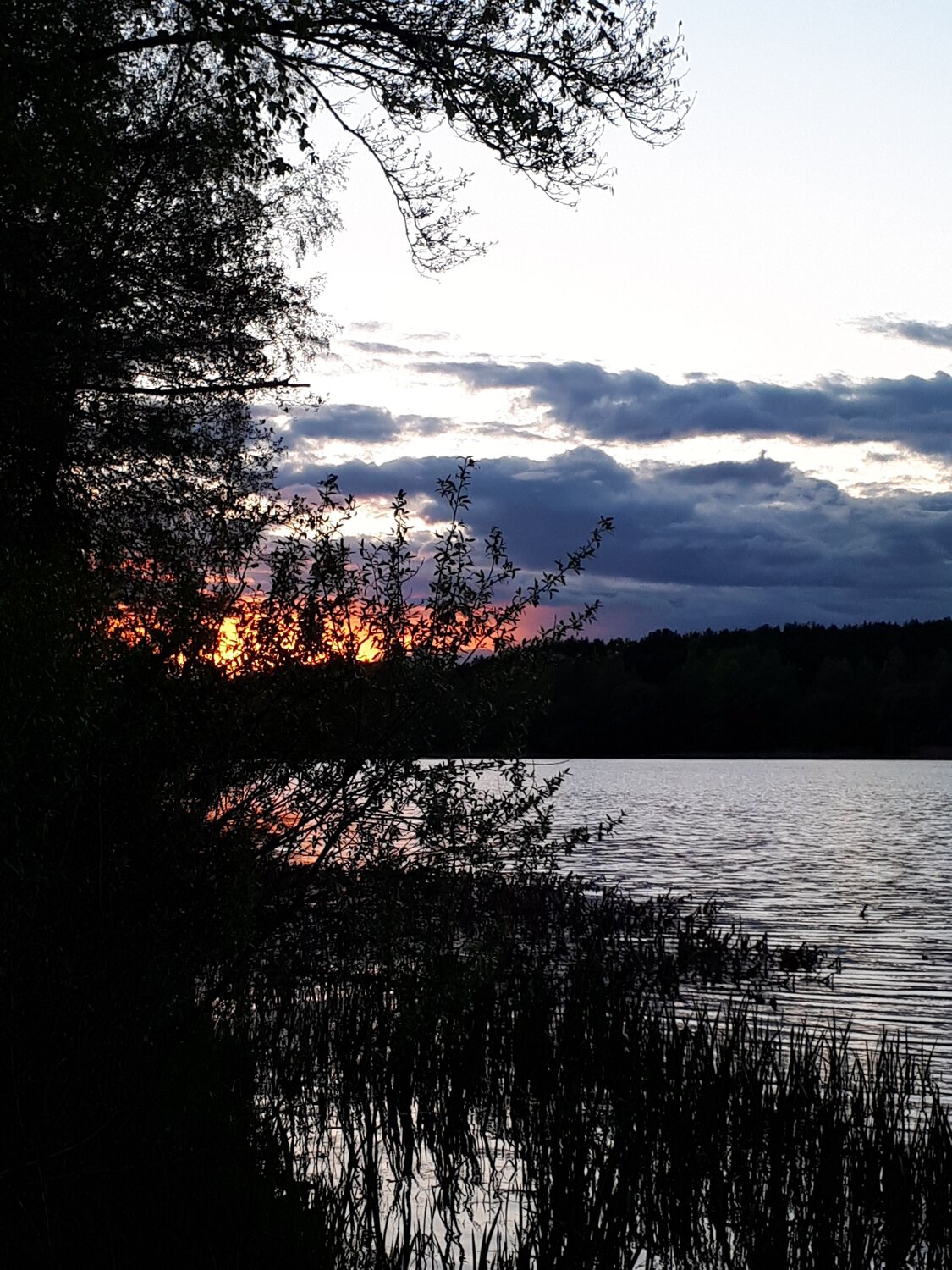 Photo #7580720