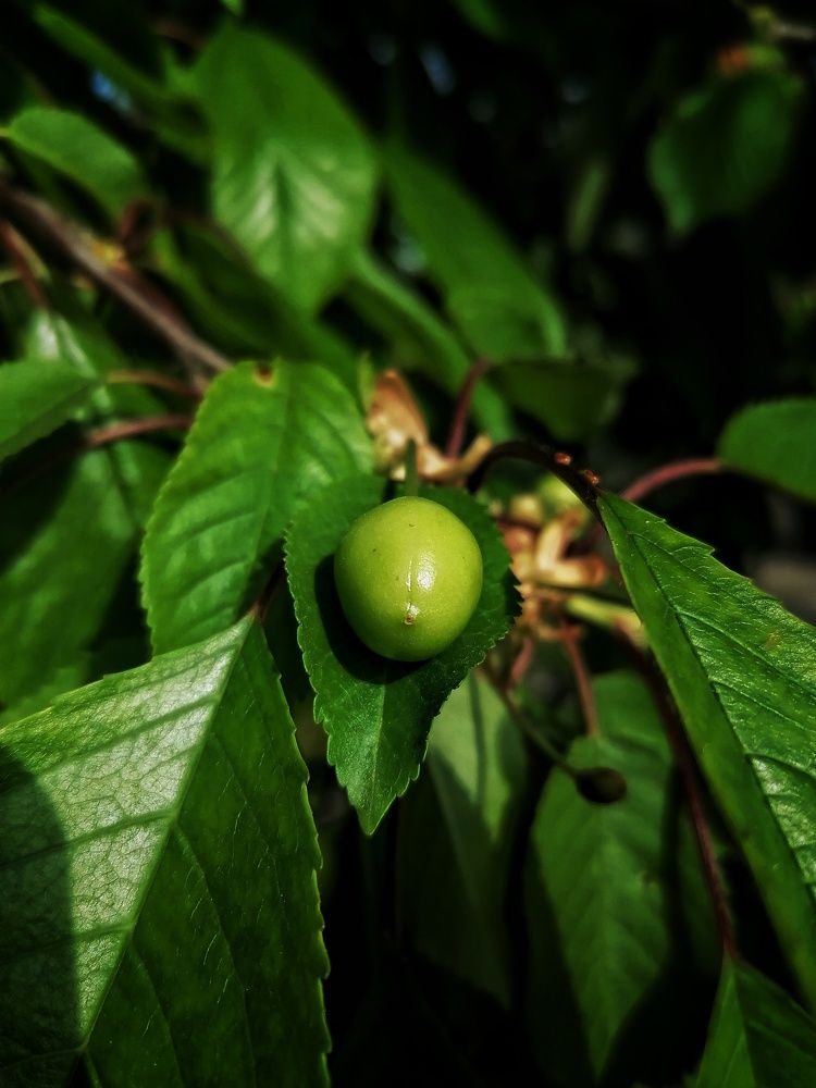 Photograph by Елена Легенда