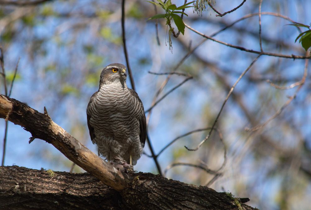 Photograph by Андрей Красников