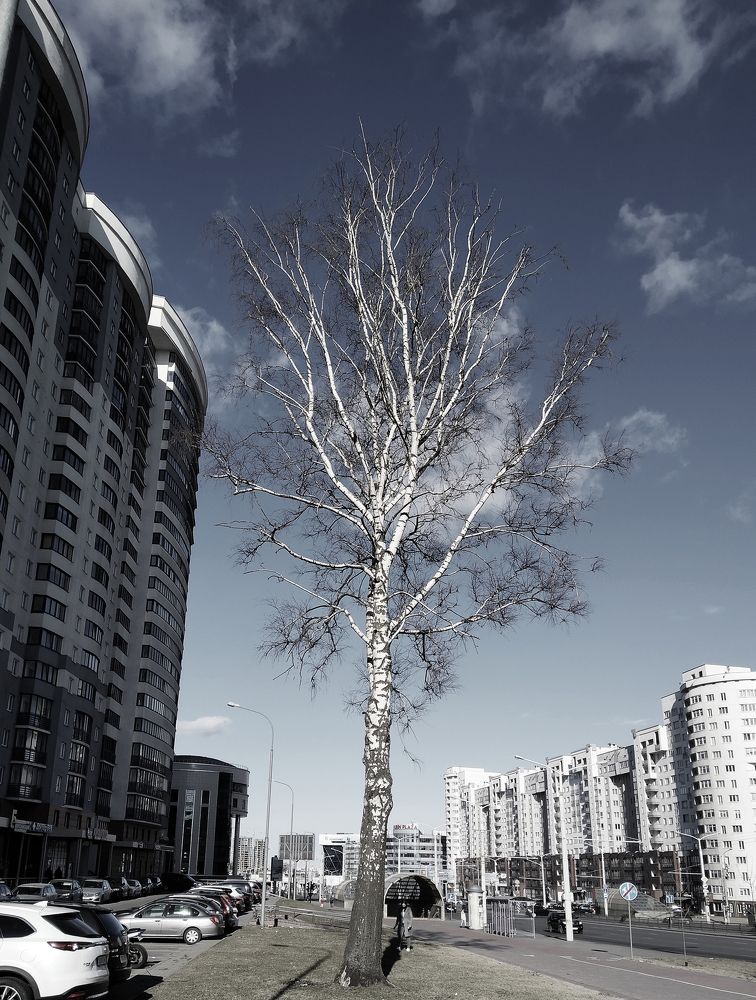 Photograph by Владимир Воложинский