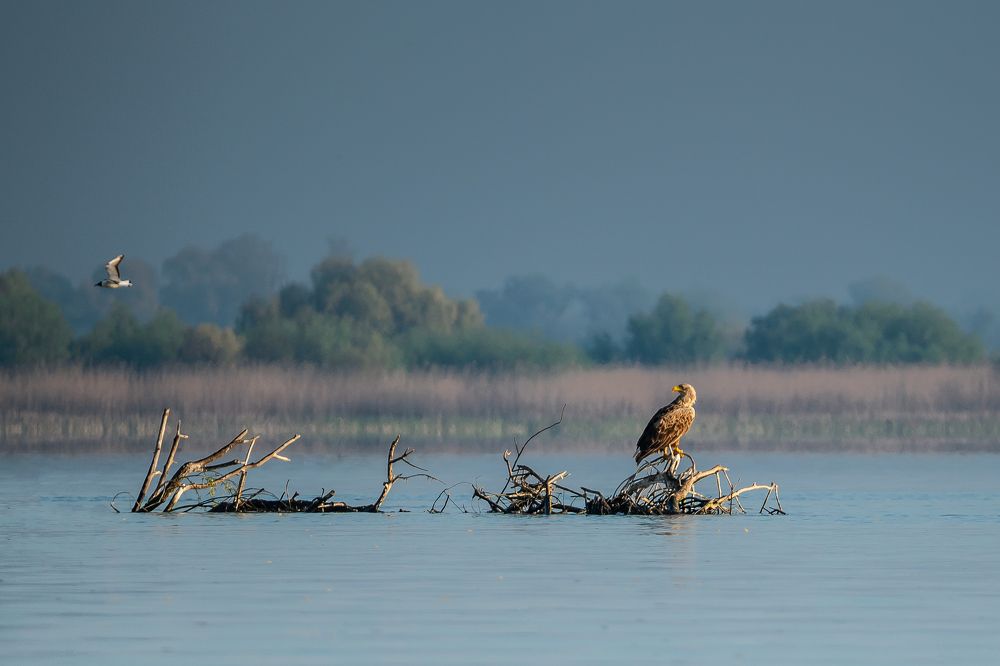 Photograph by Adrian Grigore