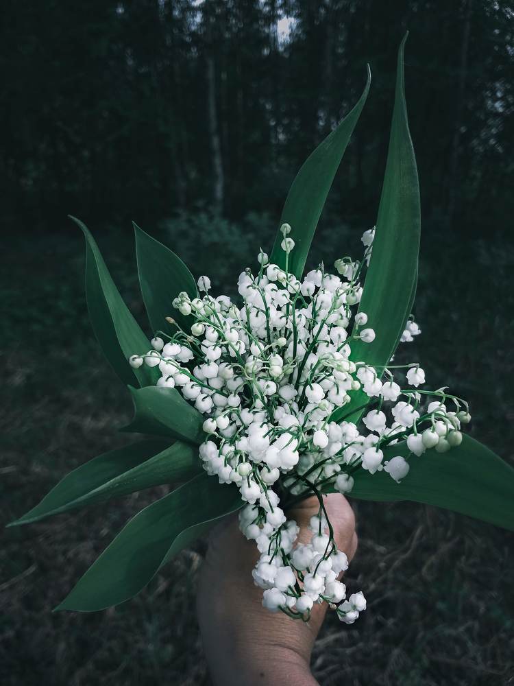 Photograph by Наташа Черепенина