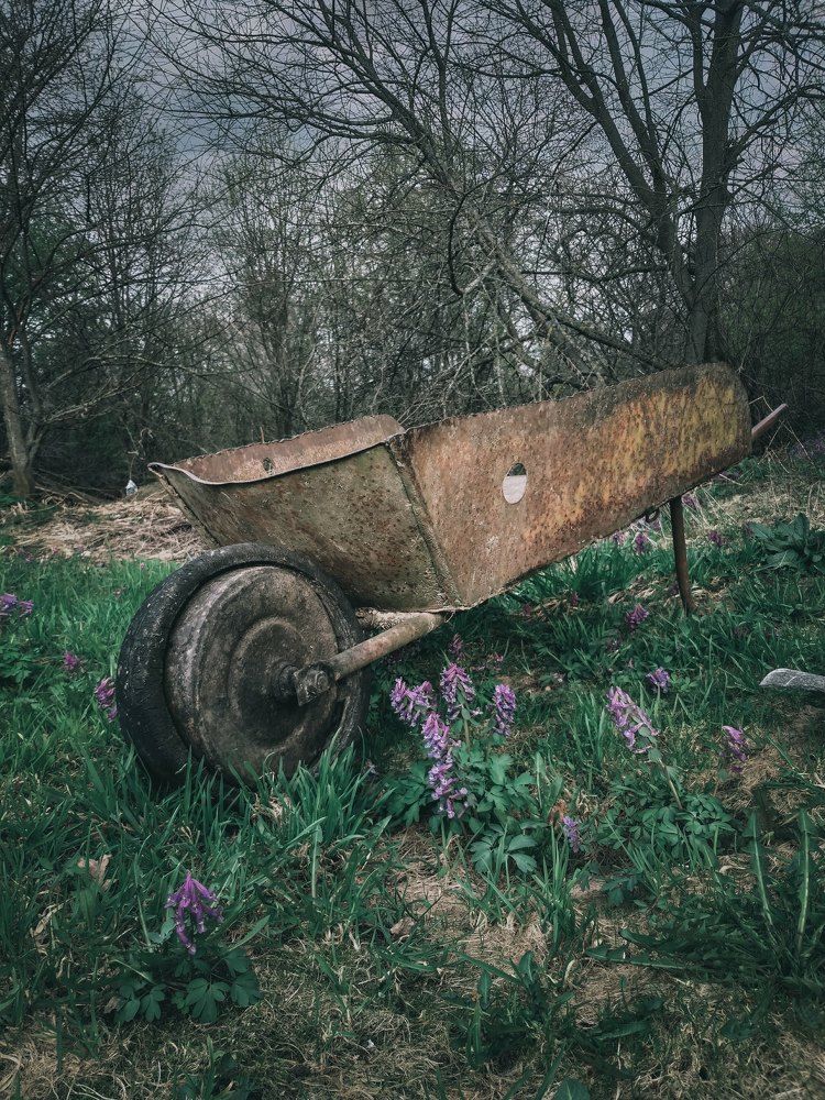 Photograph by Наташа Черепенина