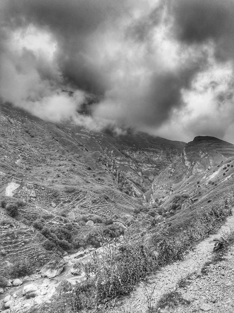 Photograph by Владимир Осипов