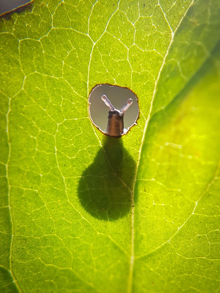 Photograph by Татьяна Пименкова