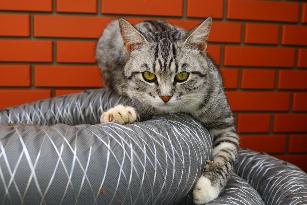 Photograph by Светлана Шуткова