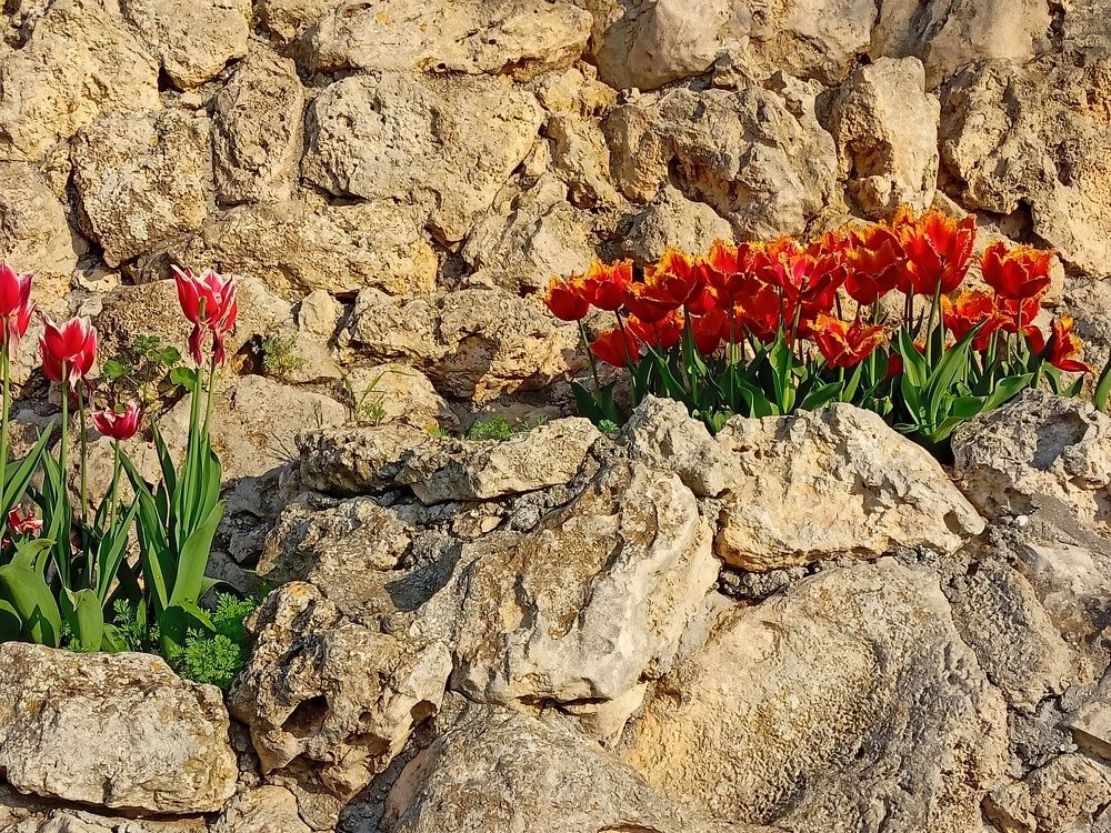 Photograph by Сергей Борисов