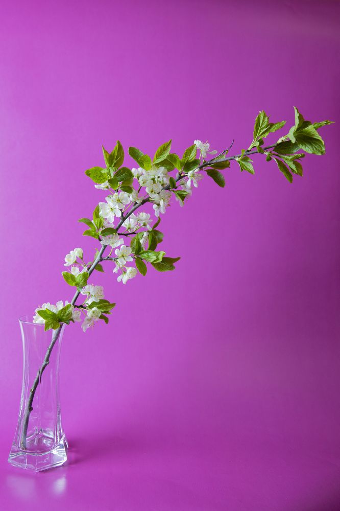 Photograph by Иван Соловьёв