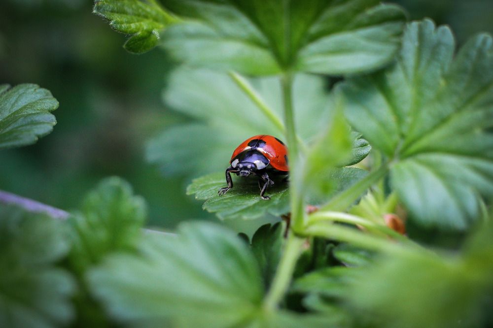 Фотография автора Юрий Фефилов