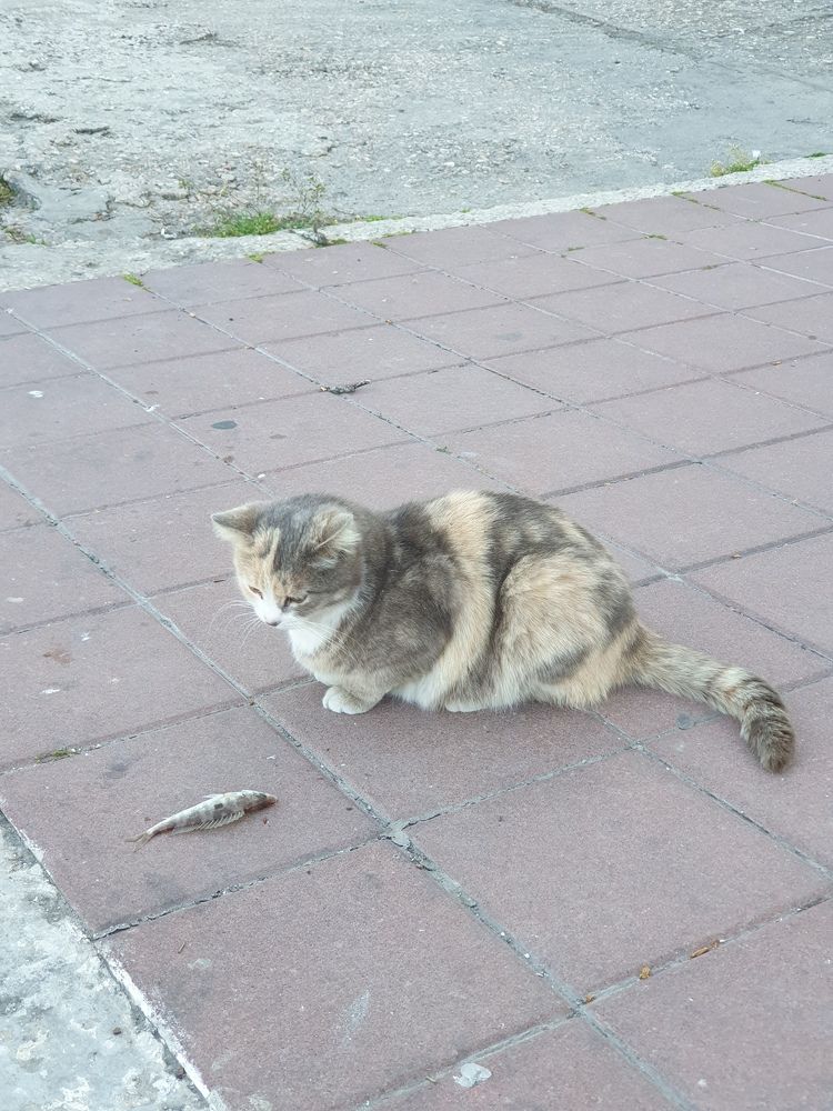 Photograph by Сергей Борисов