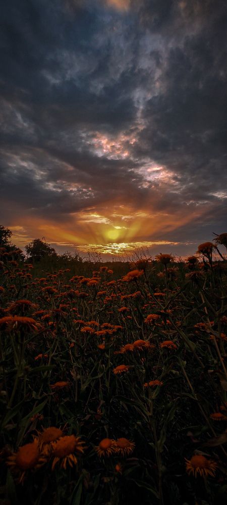 Photograph by Иван Коваленко