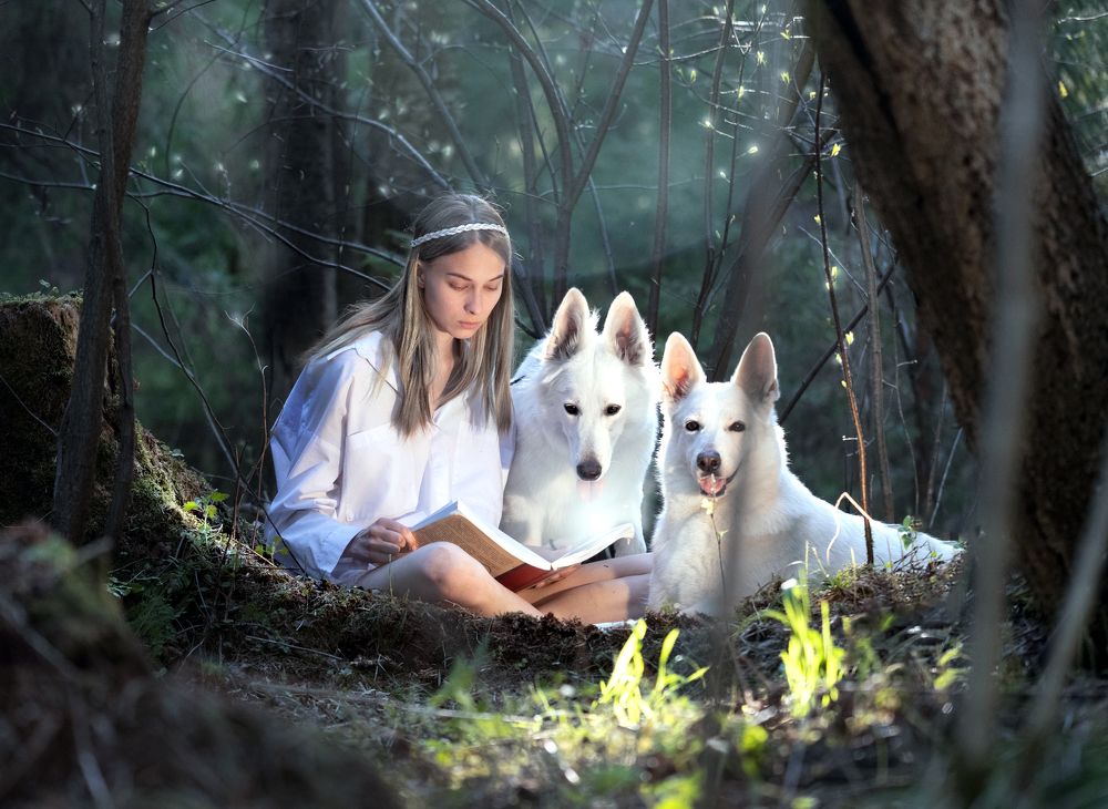 Photograph by Дина Колдомова