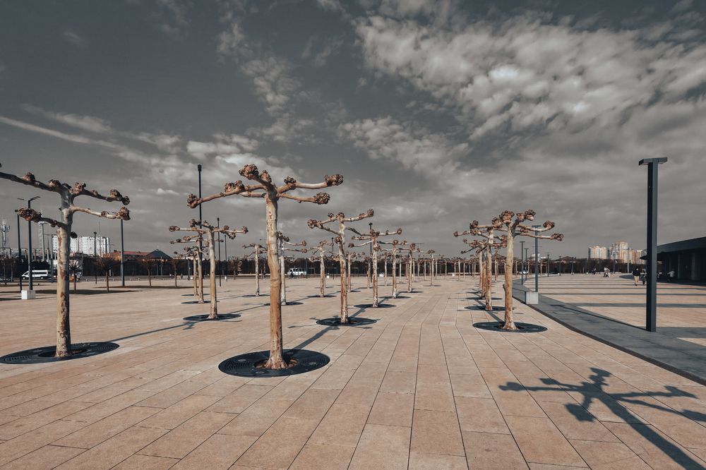 Связанные одной тенью...