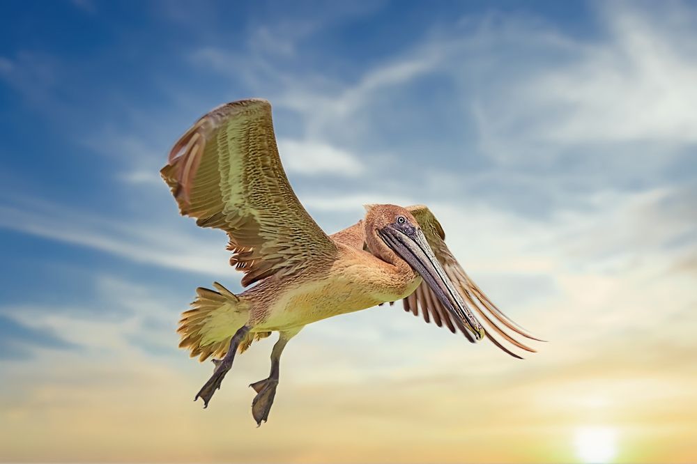 Photograph by Юрий Левко