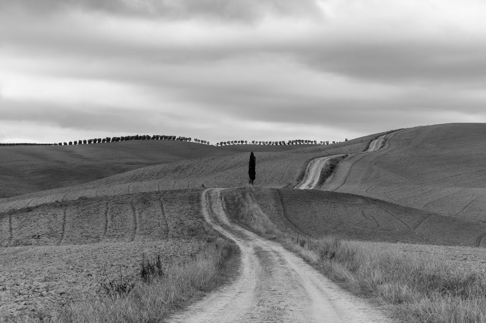 Photograph by Евгения Чех