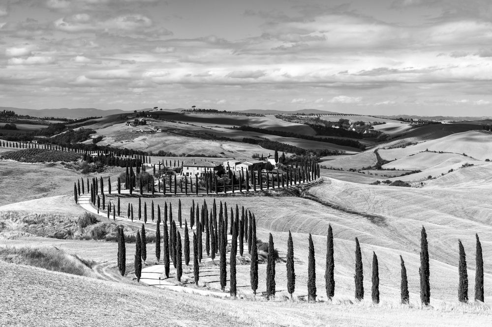 Photograph by Евгения Чех