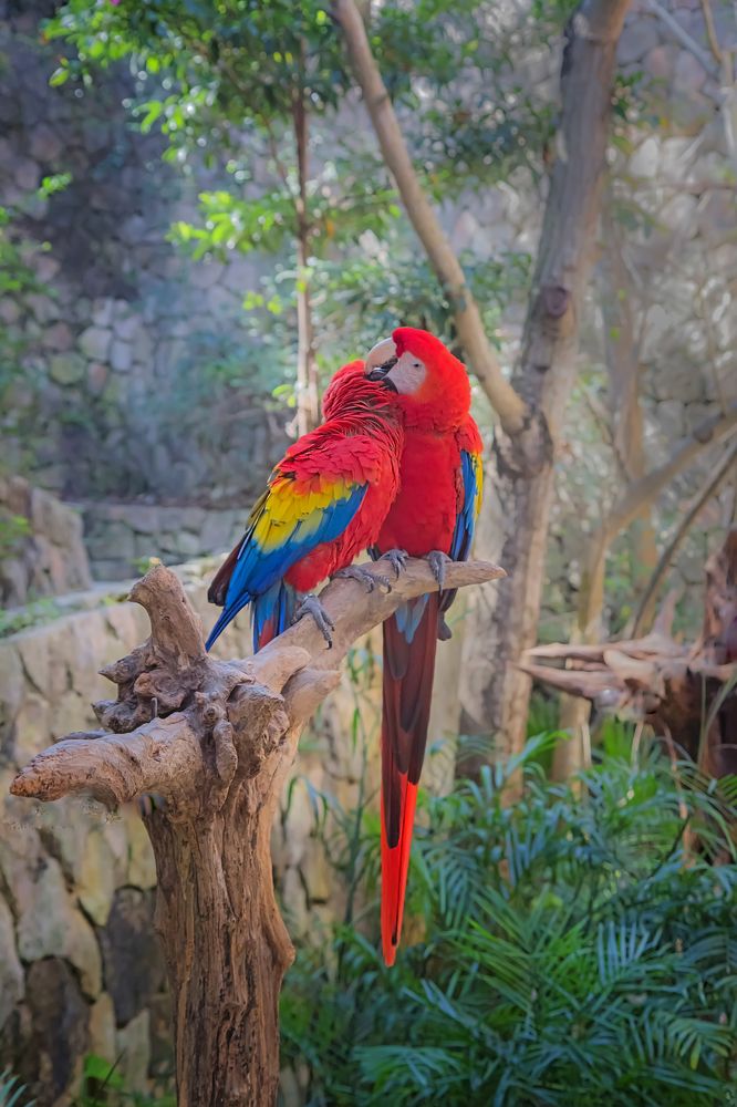 Photograph by Юрий Левко