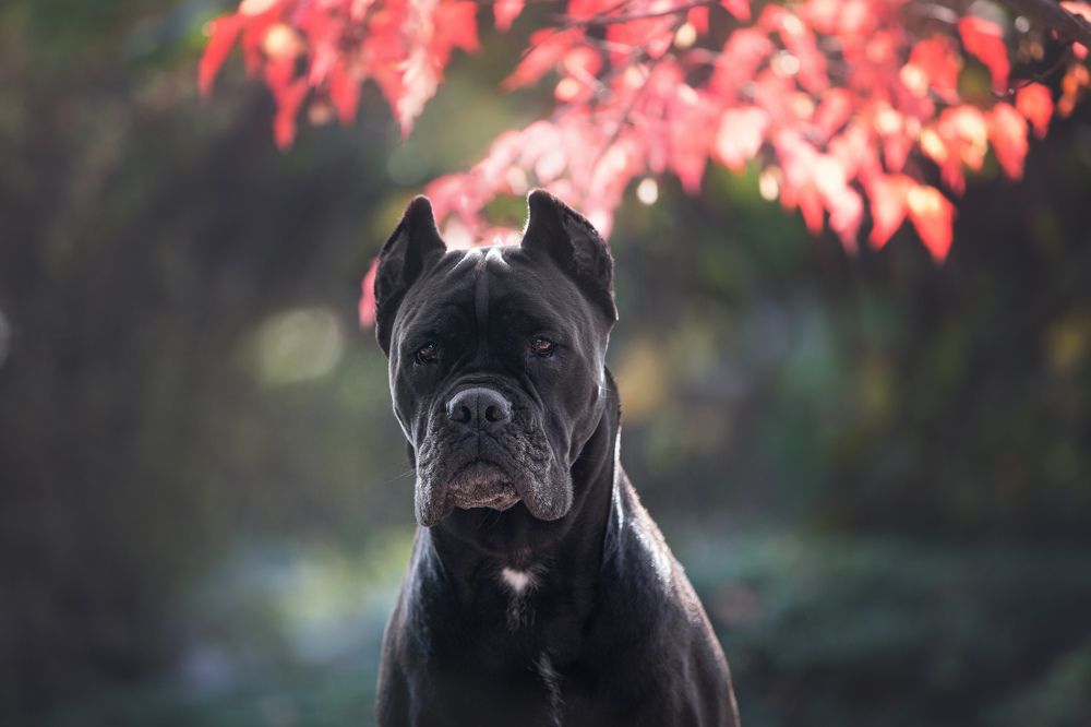 Photograph by Анастасия Чернявская