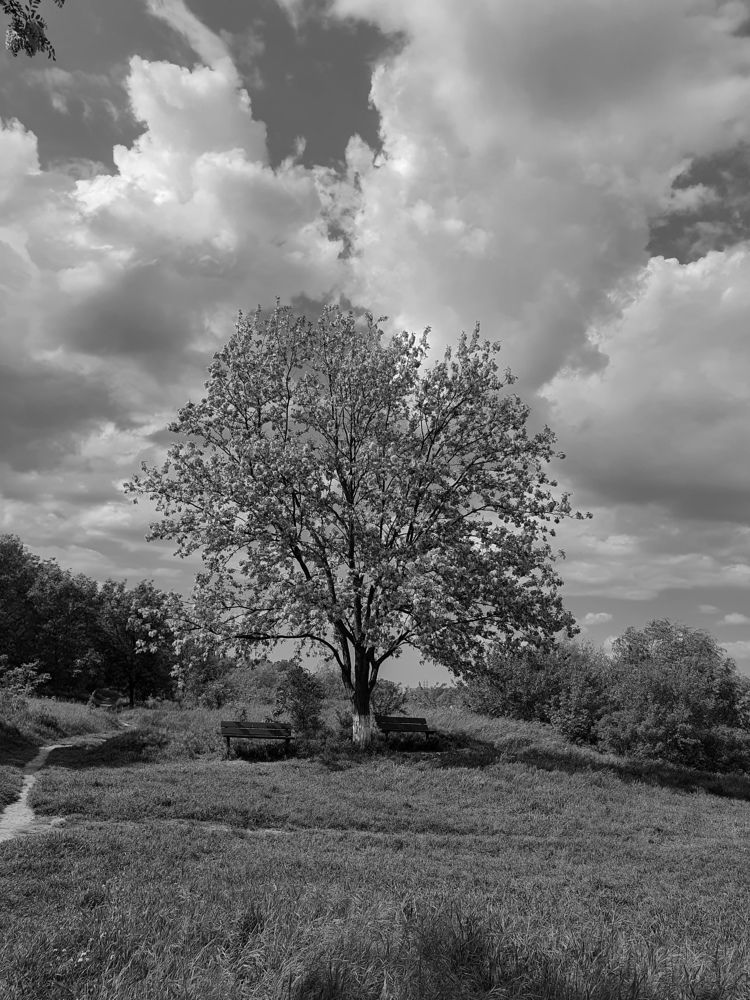 Photograph by Анастасия Трофимовская
