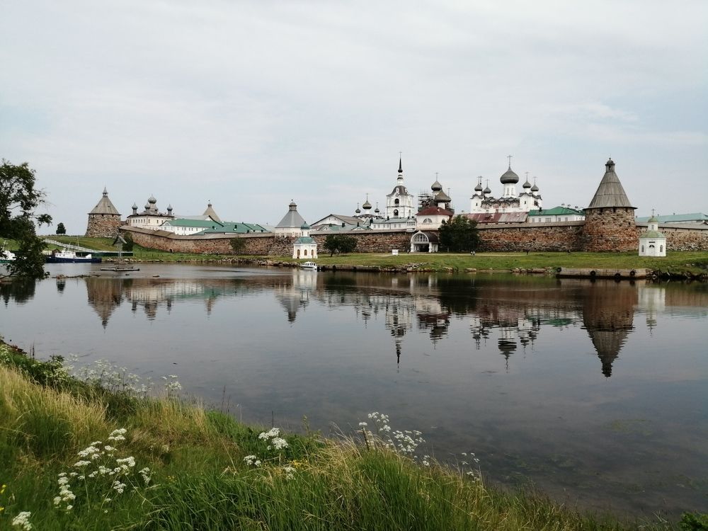 Цветущий берег