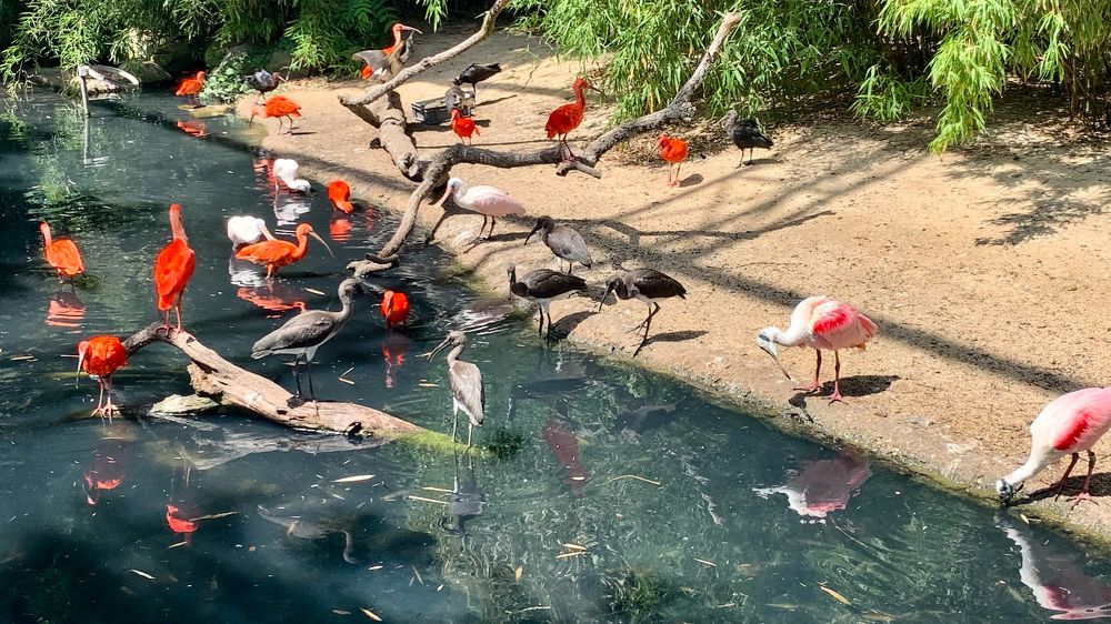 Photograph by Christine ECHEVET-ADAM de VILLIERS