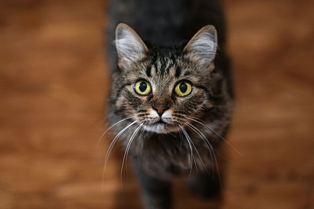 Photograph by Ольга Смолина