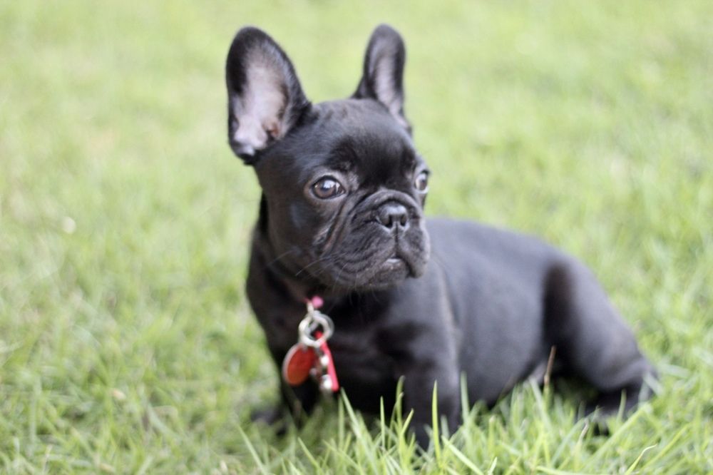 Фотография автора Jose Otero