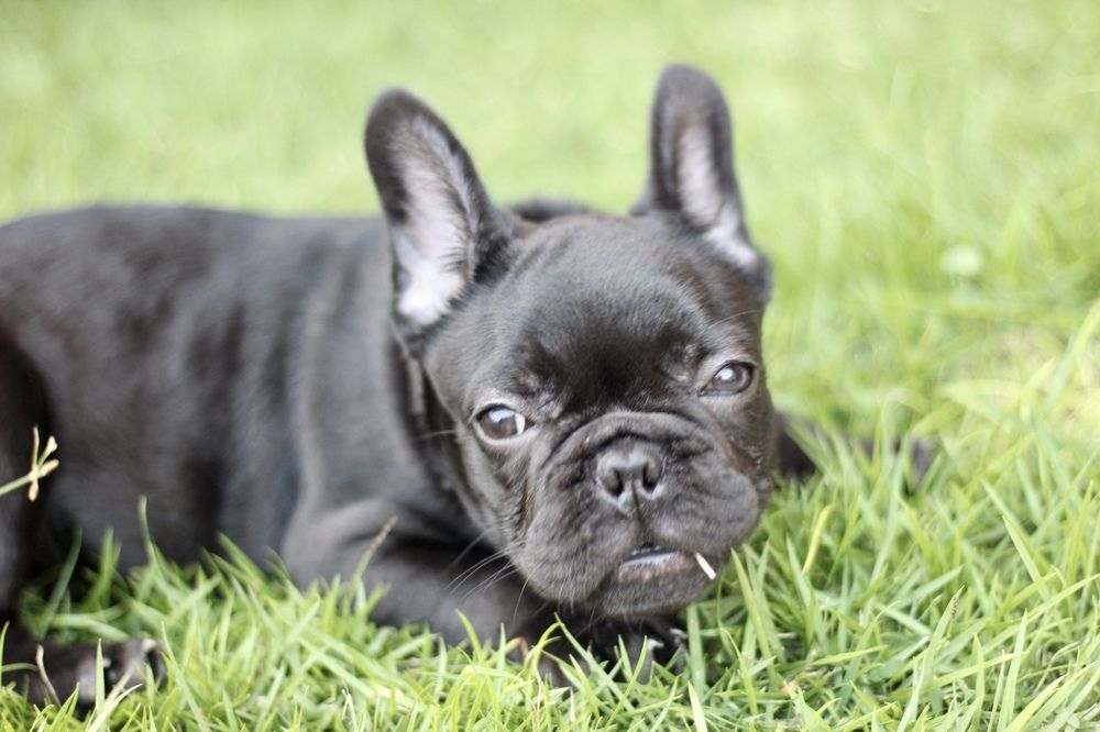 Фотография автора Jose Otero