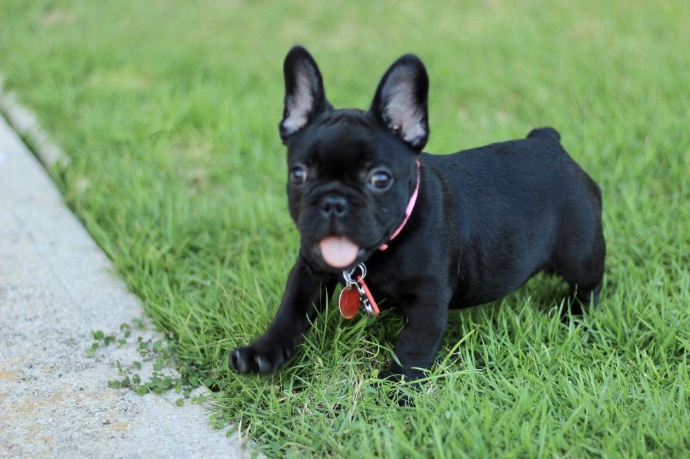 Фотография автора Jose Otero