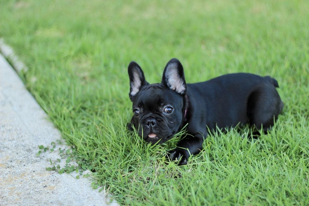 Фотография автора Jose Otero