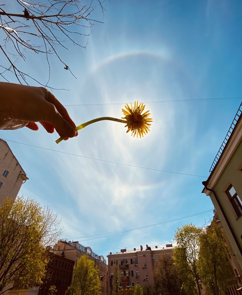 Фотография автора Анна Могилева